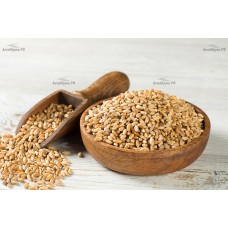 Пшеница мягкая 0,5 кг АлтайКрупа