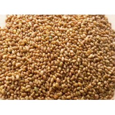 ОБРАЗ ЖИЗНИ Семена люцерны для проращивания, 0,5 кг