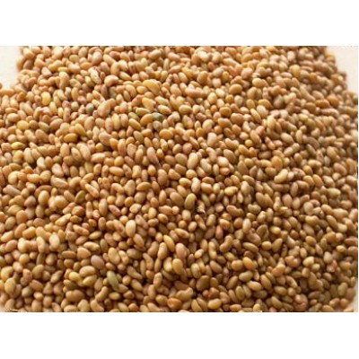 ОБРАЗ ЖИЗНИ Семена люцерны для проращивания, 0,5 кг
