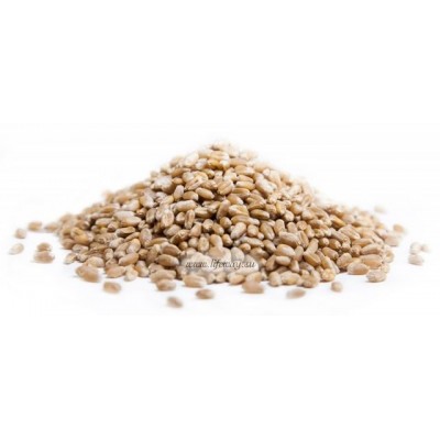 ОБРАЗ ЖИЗНИ Пшеница отборная для проращивания весовая, Алтай, 0,5 кг